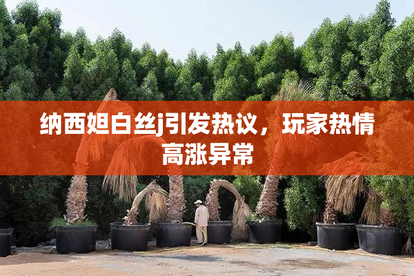 纳西妲白丝j引发热议，玩家热情高涨异常