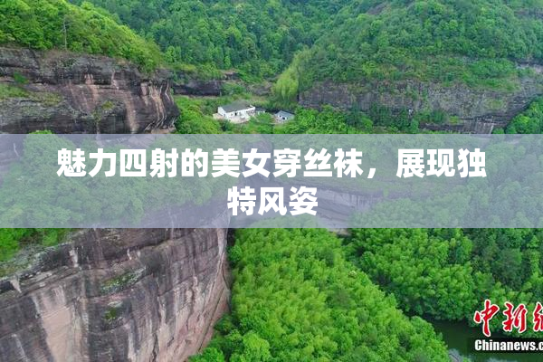 魅力四射的美女穿丝袜，展现独特风姿