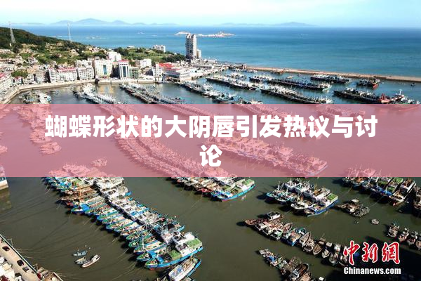 蝴蝶形状的大阴唇引发热议与讨论