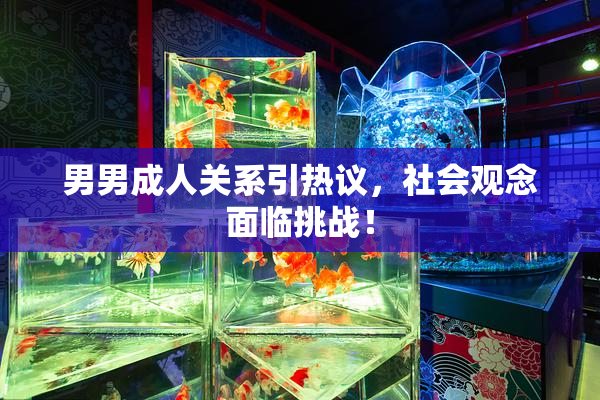 男男成人关系引热议，社会观念面临挑战！