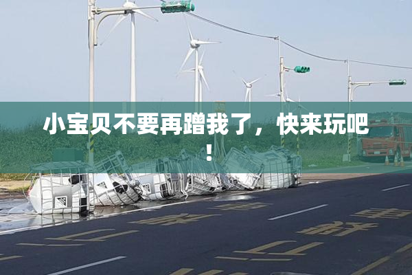小宝贝不要再蹭我了，快来玩吧！