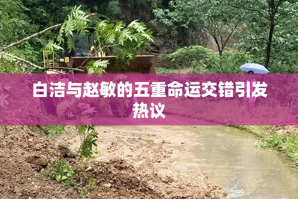 白洁与赵敏的五重命运交错引发热议