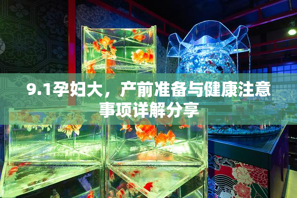 9.1孕妇大，产前准备与健康注意事项详解分享