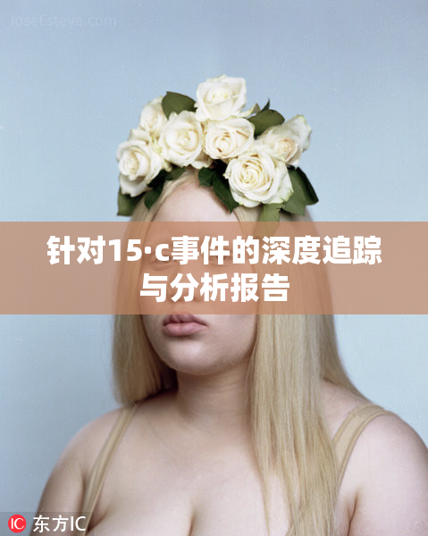 针对15·c事件的深度追踪与分析报告