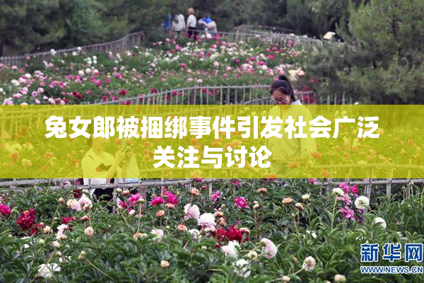 兔女郎被捆绑事件引发社会广泛关注与讨论