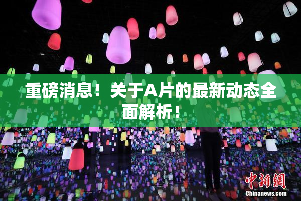 重磅消息！关于A片的最新动态全面解析！