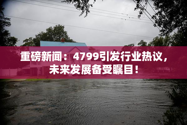重磅新闻：4799引发行业热议，未来发展备受瞩目！
