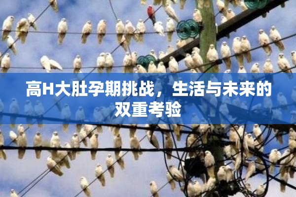 高H大肚孕期挑战，生活与未来的双重考验