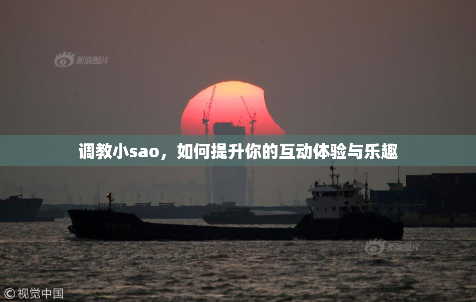 调教小sao，如何提升你的互动体验与乐趣