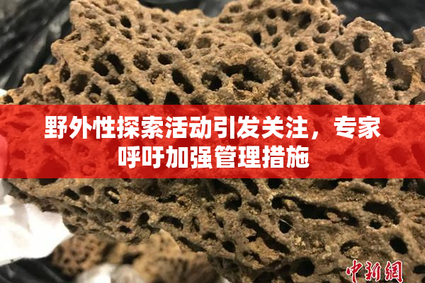 野外性探索活动引发关注，专家呼吁加强管理措施