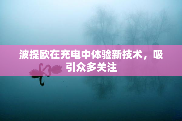 波提欧在充电中体验新技术，吸引众多关注