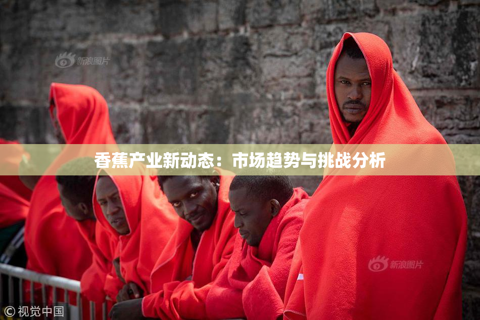 香蕉产业新动态：市场趋势与挑战分析