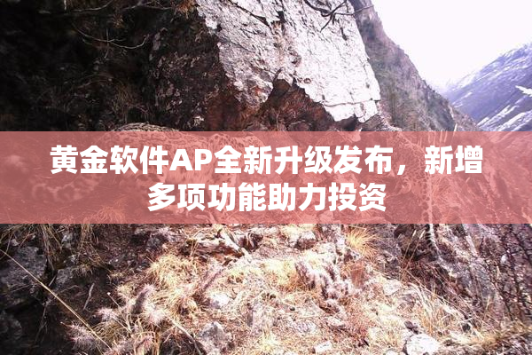 黄金软件AP全新升级发布，新增多项功能助力投资