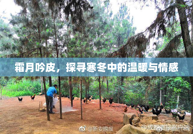 霜月吟皮，探寻寒冬中的温暖与情感