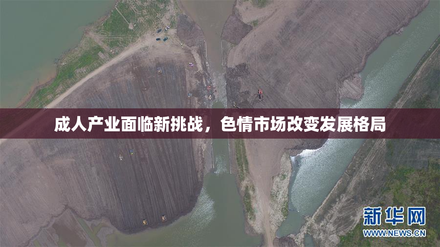 成人产业面临新挑战，色情市场改变发展格局