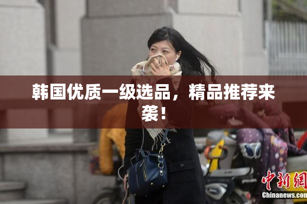 韩国优质一级选品，精品推荐来袭！