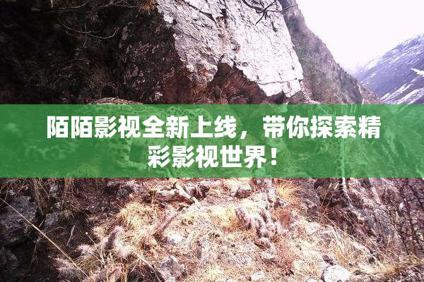 陌陌影视全新上线，带你探索精彩影视世界！