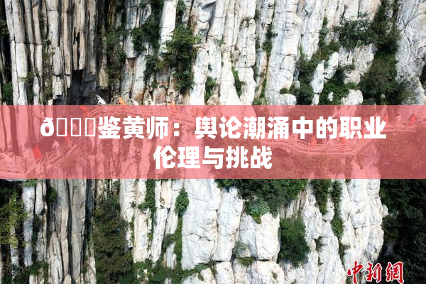 🔞鉴黄师：舆论潮涌中的职业伦理与挑战
