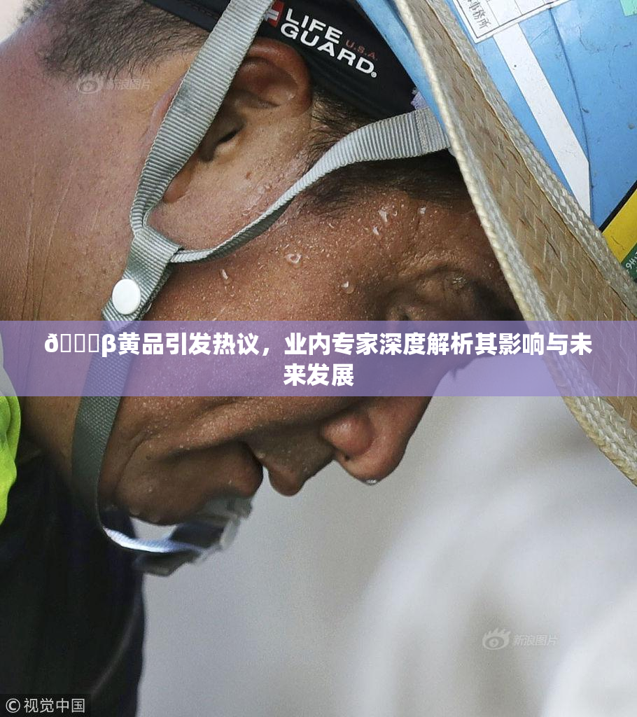 🔞β黄品引发热议，业内专家深度解析其影响与未来发展