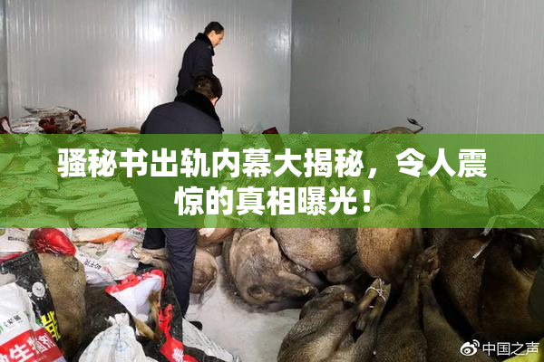 骚秘书出轨内幕大揭秘，令人震惊的真相曝光！