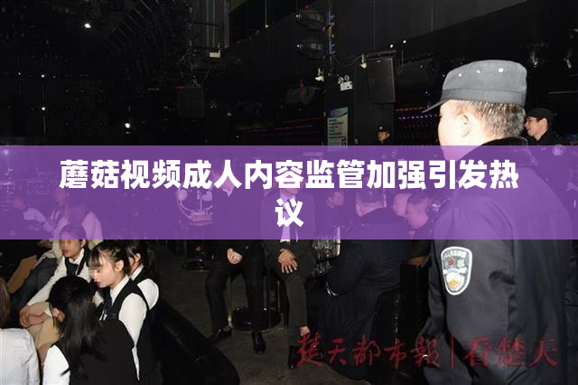 蘑菇视频成人内容监管加强引发热议