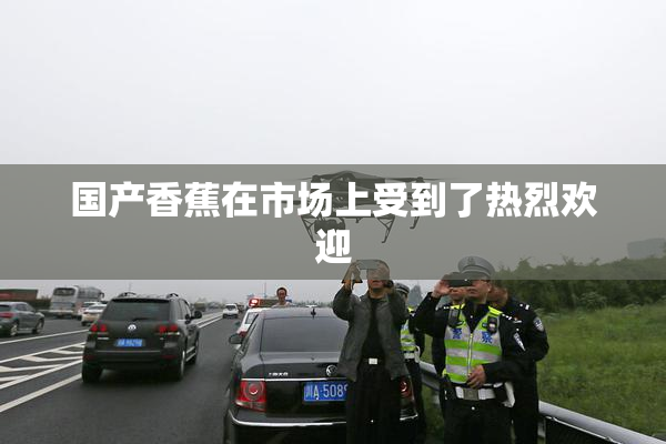 国产香蕉在市场上受到了热烈欢迎