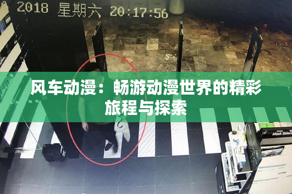 风车动漫：畅游动漫世界的精彩旅程与探索