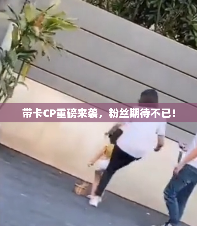 带卡CP重磅来袭，粉丝期待不已！