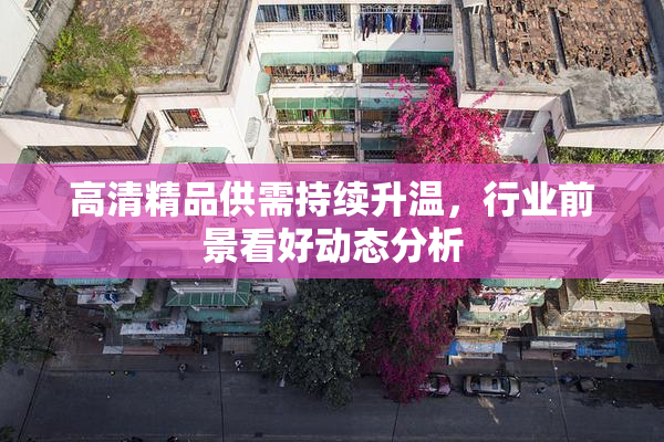 高清精品供需持续升温，行业前景看好动态分析
