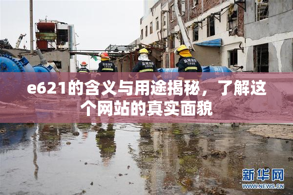 e621的含义与用途揭秘，了解这个网站的真实面貌