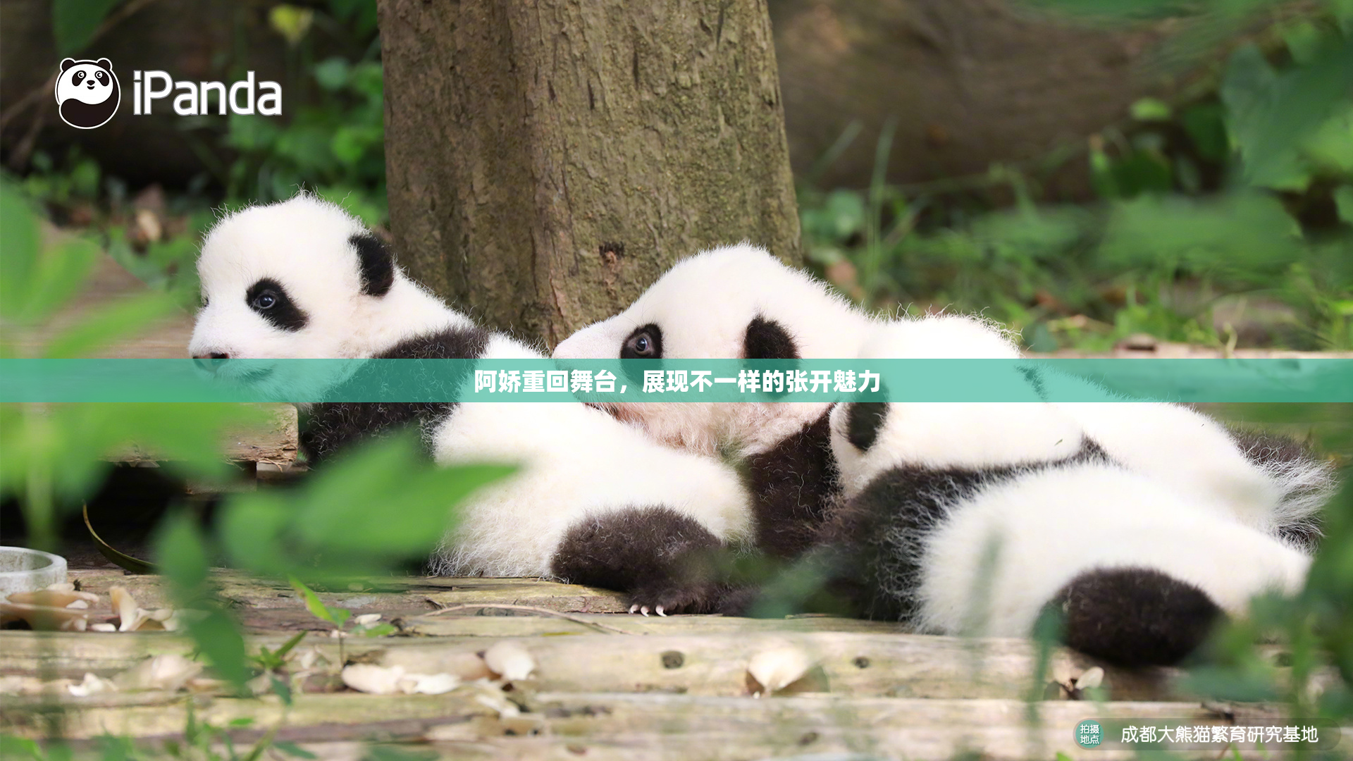 阿娇重回舞台，展现不一样的张开魅力