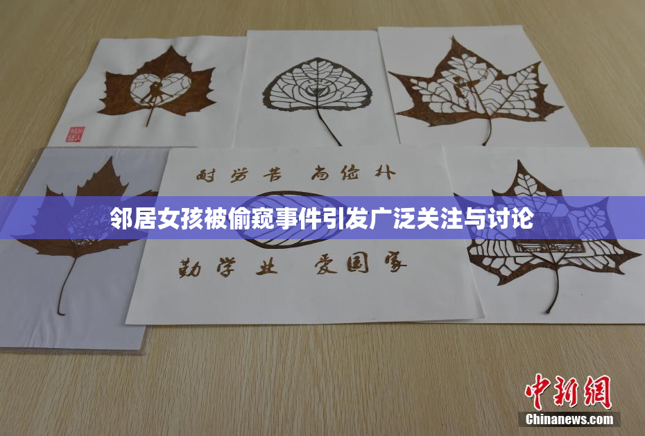 邻居女孩被偷窥事件引发广泛关注与讨论