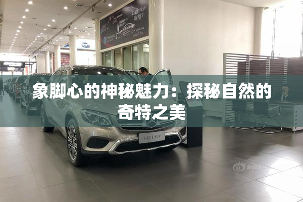 象脚心的神秘魅力：探秘自然的奇特之美