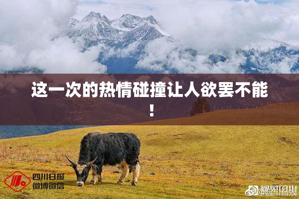 这一次的热情碰撞让人欲罢不能！