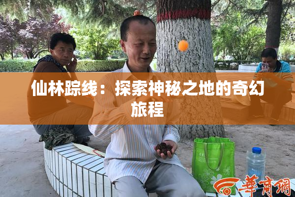 仙林踪线：探索神秘之地的奇幻旅程