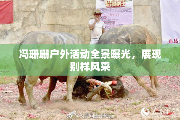冯珊珊户外活动全景曝光，展现别样风采