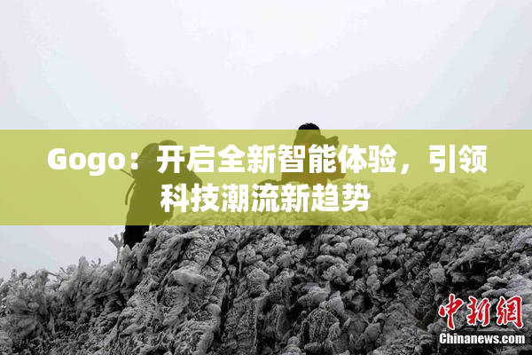 Gogo：开启全新智能体验，引领科技潮流新趋势