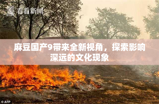 麻豆国产9带来全新视角，探索影响深远的文化现象