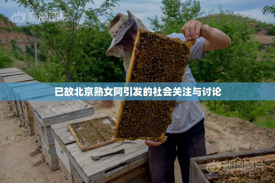已故北京熟女阿引发的社会关注与讨论