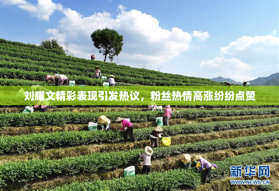 刘耀文精彩表现引发热议，粉丝热情高涨纷纷点赞