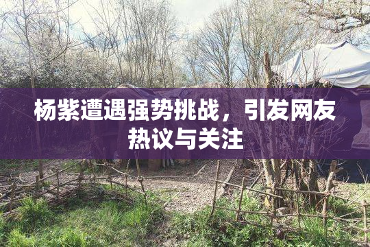 杨紫遭遇强势挑战，引发网友热议与关注