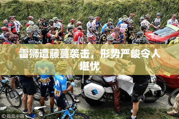 雷狮遭藤蔓袭击，形势严峻令人堪忧