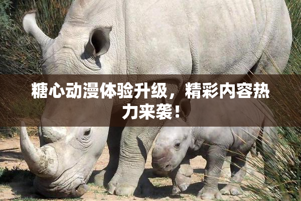 糖心动漫体验升级，精彩内容热力来袭！