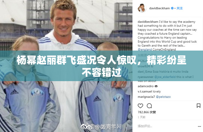 杨幂赵丽群飞盛况令人惊叹，精彩纷呈不容错过