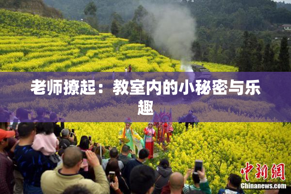 老师撩起：教室内的小秘密与乐趣