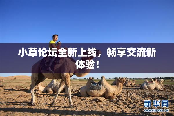 小草论坛全新上线，畅享交流新体验！