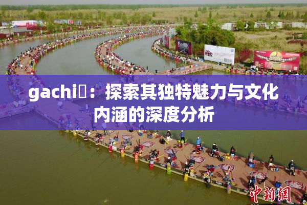 gachi籣：探索其独特魅力与文化内涵的深度分析