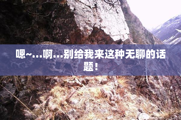 嗯~…啊…别给我来这种无聊的话题！