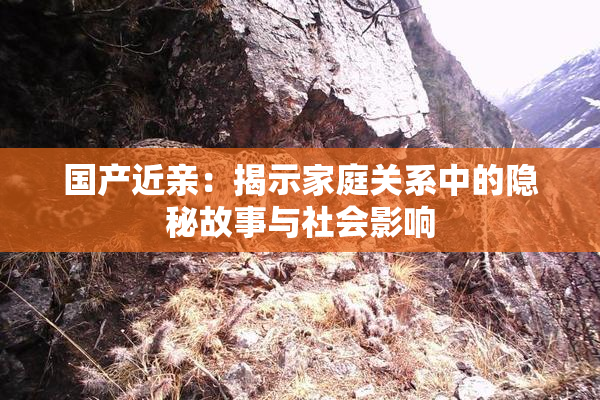 国产近亲：揭示家庭关系中的隐秘故事与社会影响