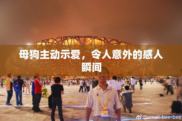母狗主动示爱，令人意外的感人瞬间